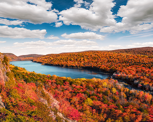 orange and yellow fall foliage around Michigan river